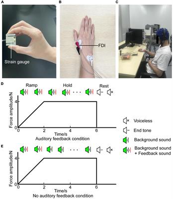 Effects of auditory feedback on fine motor output and corticomuscular coherence during a unilateral finger pinch task